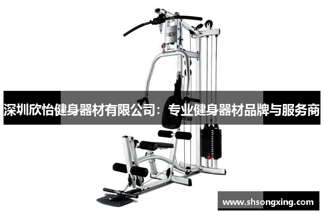 深圳欣怡健身器材有限公司：专业健身器材品牌与服务商